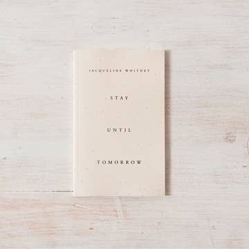 Stay Until Tomorrow - book